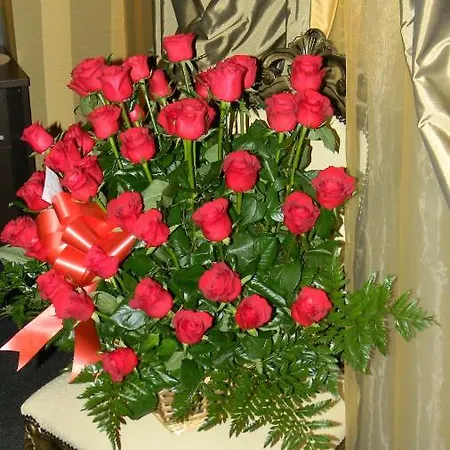 Domus Romantica 4* Rome